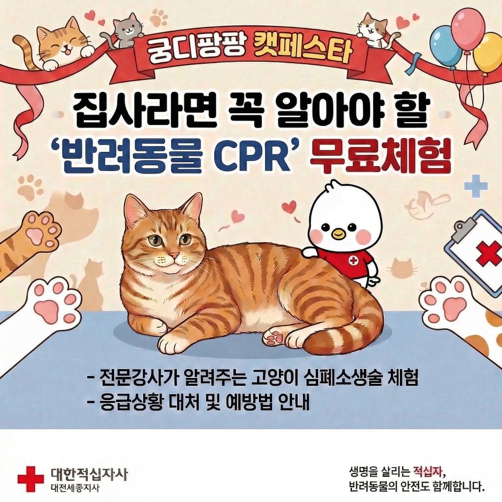 브랜드 라인업업 이미지